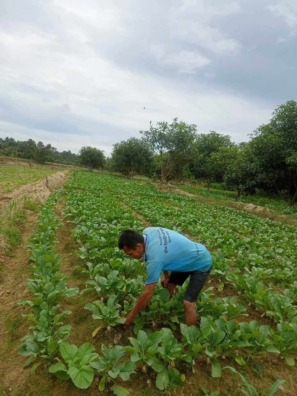 Advance-Farming-2