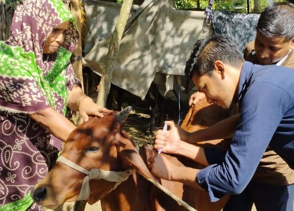 পশু চিকিৎসা(4)