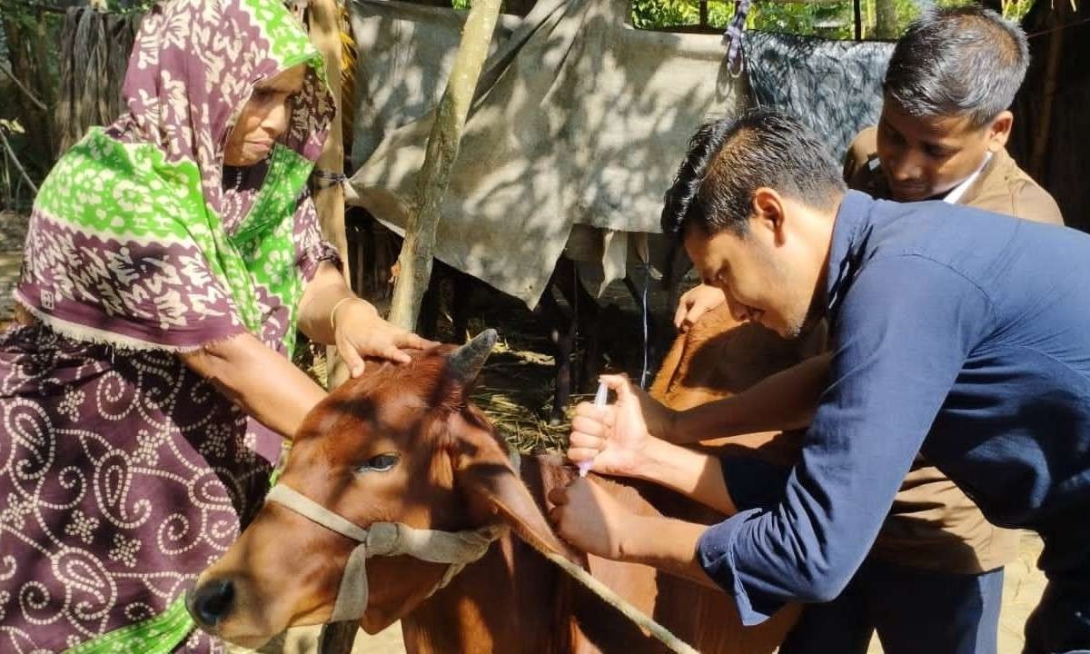 পশু চিকিৎসা(4)
